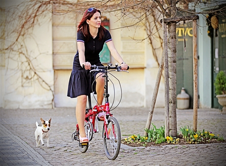 City Bike mda - Nora Fridrichov