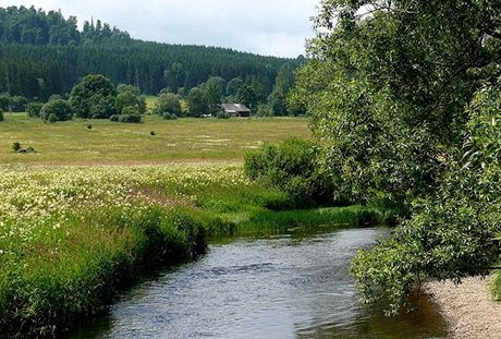 Teplá Vltava pod Soumarským Mostem