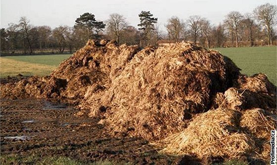 Londýn suuje zápach z kontinentální Evropy. Ilustraní foto.