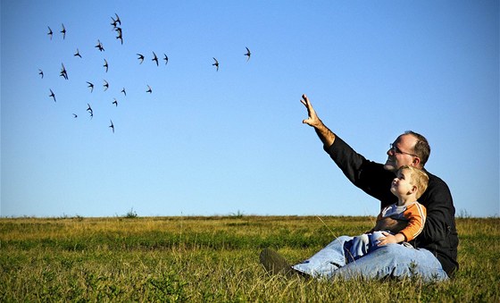 Do eské republiky dorazili rorýsi, jako dalí poslové jara. 