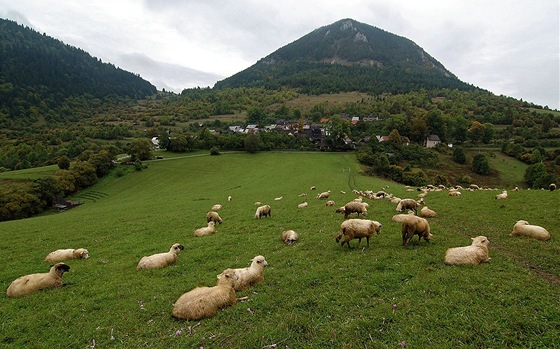 Kulisu kraje kolem Vlkolínce tvoí pastviny a vrch Sidorovo