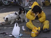 Ochrnce zvat krm oputn psy ve mst Minami Soma (7. dubna 2011)