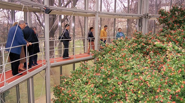Kolem kamélie je umístn po vtinu roku vysoký altán, návtvníci chodí po ochozech.