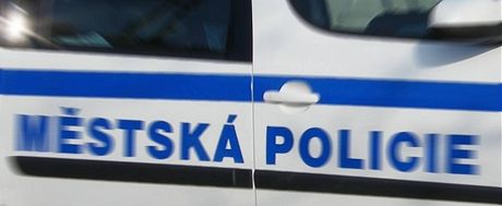 Msttí policisté v Ostrav mli dost práce s píli bujarým muem. (ilustraní snímek)