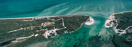 Parrot Cay