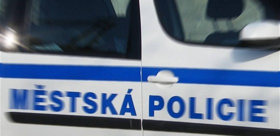 Mstská policie v Karviné mla kvli ílenému idii hodn napilno. (ilustraní snímek)