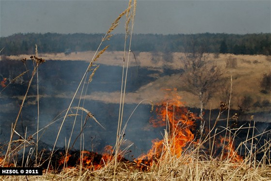 ena zapálila trávu na rozloze jednoho hektaru. Ilustraní snímek