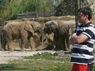 Africk safari ve Dvoe Krlov otevelo v sobotu svoje brny, nvtvnci mohli sledovat i slony.