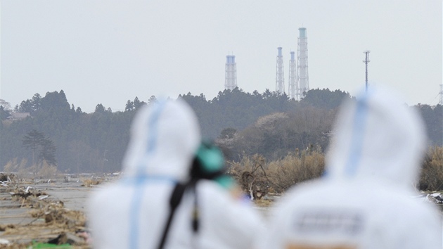 Lékem pro zamoenou pdu v okolí Fukuimy by mohly být slunenice