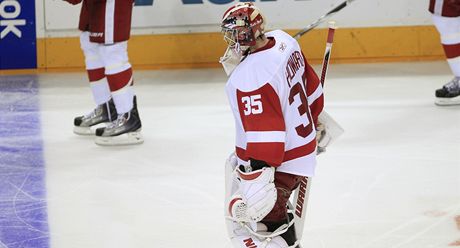 Zklamaný branká Detroitu Jimmy Howard.