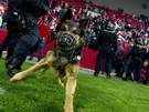 NEPIBLIOVAT SE. Policie proti fanoukm Slavie pouila i psy. 