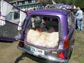 Sraz majitel aut s dvoutaktnm motorem v Jinolicch na Jinsku pilkal stovky divk, kte vidli trabanty v klasick i tuningov prav.