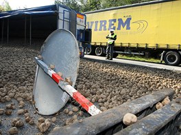 Na njezdu na dlnici D1 u Jihlavy havaroval v pondl rno kamion s nkladem brambor