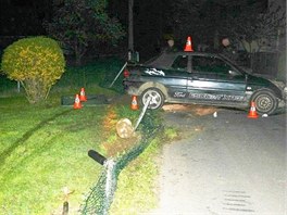 Zfetovan mu, ktermu soud zakzal dit, ujdl policii. Svj vz vak nezvldl a pi nehod zniil zhruba dvacet metr plotu, plynovou ppojku a vjezdovou brnu.