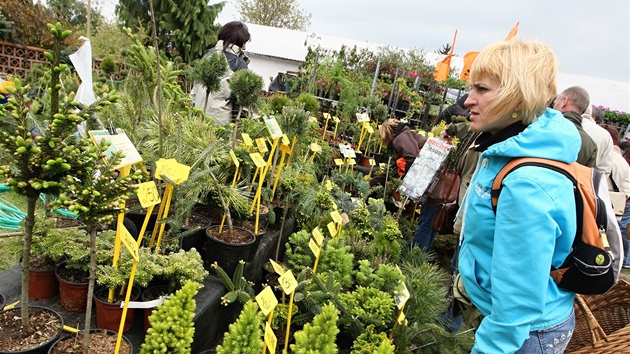 Veletrh Floria ve Vkách u Kromíe láká zahradkáe, chovatele, chalupáe i pstitele na nejrznjí hobby sortiment.