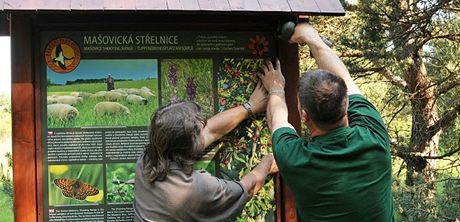 Stráci Národního parku Podyjí instalují na Maovické stelnici jeden z 26 nových infopanel.