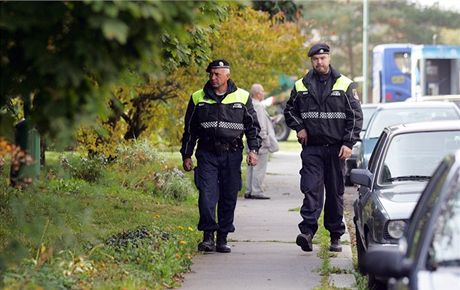 Obanské hlídky podle Kubaczky mohou pomoci policistm a stráníkm s vykrytím jejich hlídek (ilustraní snímek).