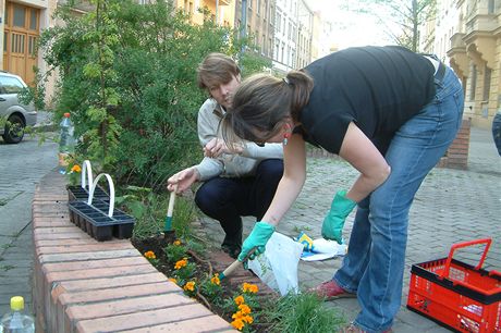 Guerilla gardening v praskm Karln