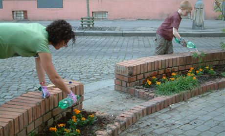 Zlivka erstv zasazench kvtin je dleit, me rozhodnout o byt a nebyt rostlin. Guerilla gardening v praskm Karln