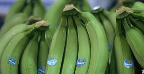 Unie udlala teku za estnáctiletým sporem o banány. Cla na dovoz klesnou