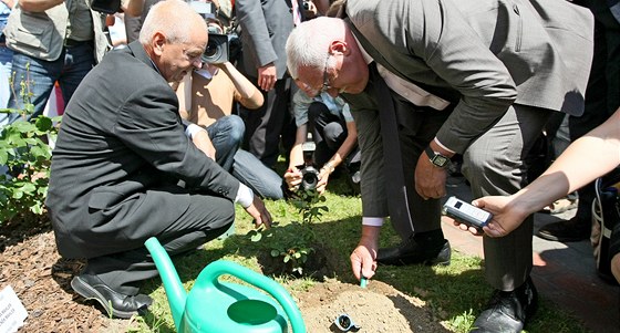 Prezident Václav Klaus pi své návtv Vysoiny zasadil do mahlerovského rozária v Kalitích novou odrdu re nazvanou Gustav Mahler. 