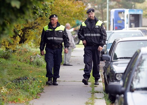 Obanské hlídky podle Kubaczky mohou pomoci policistm a stráníkm s vykrytím jejich hlídek (ilustraní snímek).