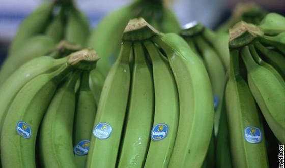 Chiquita platila za bezpenost levicovým i pravicovým guerillám