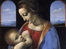 Leonardo da Vinci: Madona s díttem