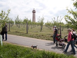 Bohdanka v Bohdani