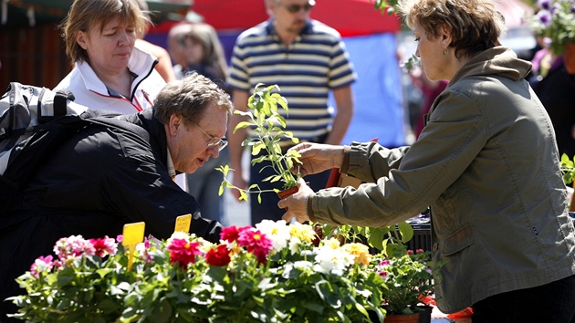 Farmáská trnice u Bauhausu koní. Konala se jen 7. kvtna. Po dvou dnech byly tyto farmáské trhy zrueny.