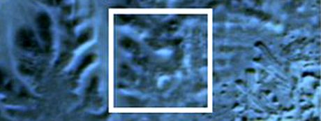 Na infraerveném satelitním snímku lze ve vyznaeném rámeku nalézt obrysy zasypané pyramidy.