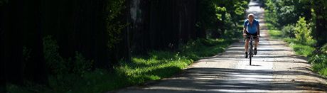 zk asfaltov cestika v aleji chrnnch strom na cyklostezce z Kynperka do Chebu. 