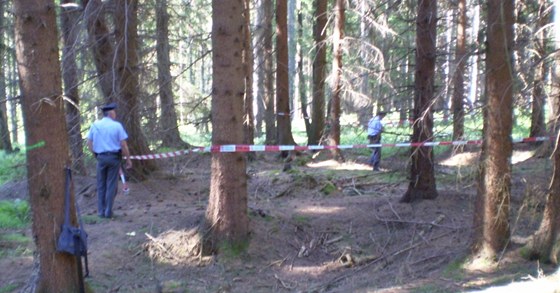 Policie zajiuje místo nálezu pancéových pstí a dalí munice z druhé svtové války nalezené v lese u obce Obora na Tachovsku