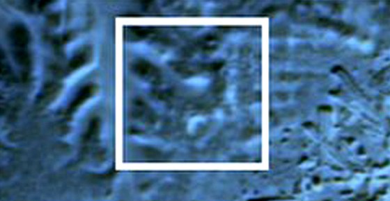 Na infraerveném satelitním snímku lze ve vyznaeném rámeku nalézt obrysy zasypané pyramidy.