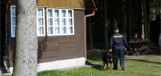 Zlodj se policistm schoval do sklepa pod podlahou. Vymuchal ho policejní pes. (Ilustraní snímek)