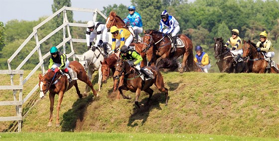 Kvalifikace Velké pardubické (ilustraní foto).