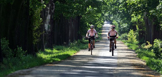 Cyklisté se ve stedních echách dokají dalích sedmi cyklostezek. (Ilustraní snímek)