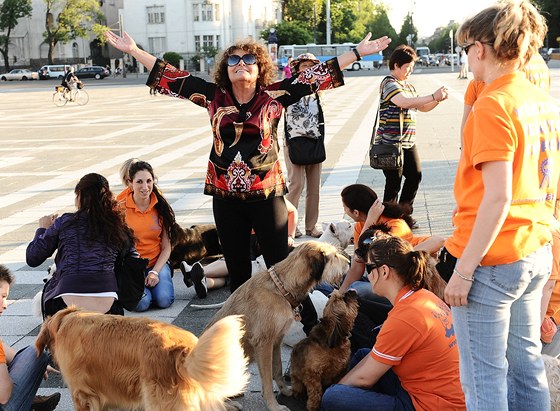 Jitka Zelenková s psy v Budapeti 