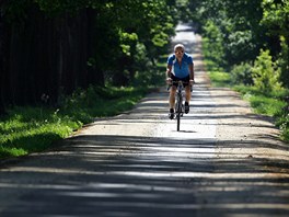 zk asfaltov cestika v aleji chrnnch strom na cyklostezce z Kynperka do Chebu. 