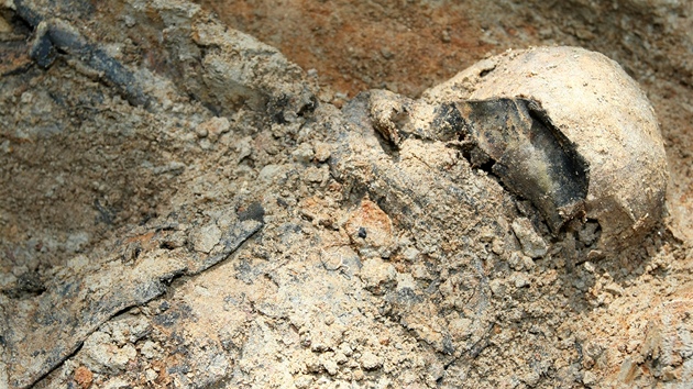 V dobronínské lokalit U Viaduktu nalezli archeologové pozstatky tí lidí, kosti nyní prozkoumají odborníci.