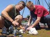 Plzet ornitologov o vkendu kroukovali leton mlata p blch v Plzeskm kraji
