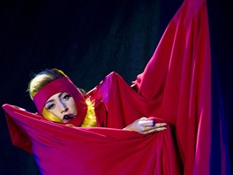 Zpvaka Lady Gaga vystoupila 17. listopadu 2010 poprv v esku (Praha, O2 arena)