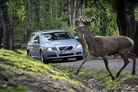 Volvo vyvíjí systém chránící ped stety se zví