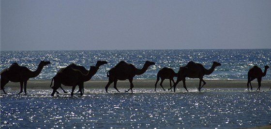 Jak hluboko v Arabském moi leí tlo bin Ládina? Ilustraní snímek