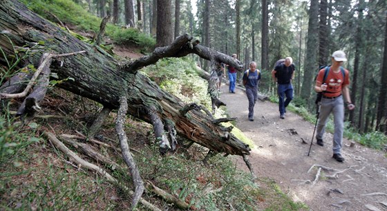 Turisté vyuili v lét slev a zaplnili hotely v Jeseníkách. (Ilustraní snímek)