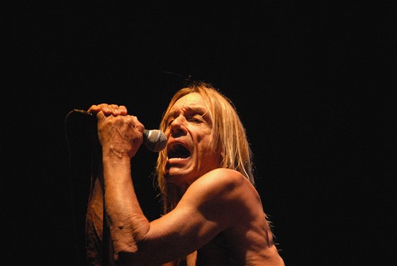 Z výstavy Ivana Prokopa Photopass (Iggy Pop)