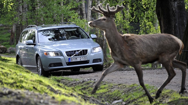 Volvo vyvíjí systém chránící před střety se zvěří Volvo vyvíjí systém chránící před střety se zvěří