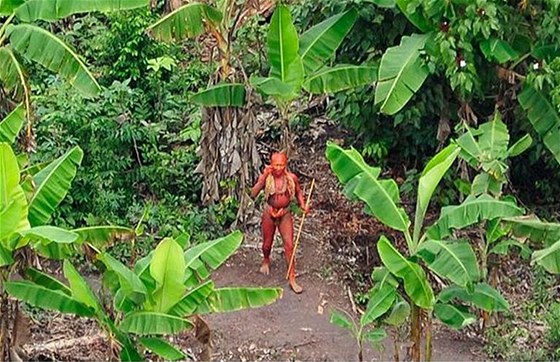 V amazonském pralese u brazilsko-peruánských hranic ijí neznámé kmeny. (Ilustraní snímek)