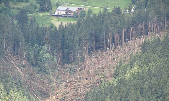 STROMY JAKO SIRKY. Následky boue v Peci pod Snkou (23. ervna 2011)