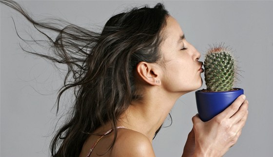 Pokud chcete kvtiny nenron na zlivku, muste si zamilovat kaktusy i